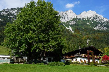 Hintersteiner See - Kaiseralm Runde von Söll