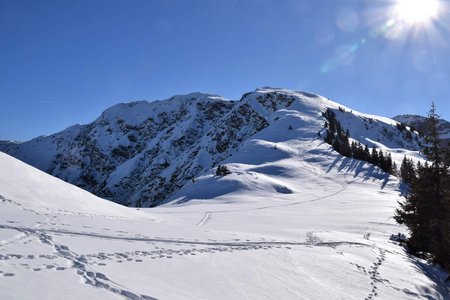 Hahnenkampl - Rauber – Saalkogel Rundtour