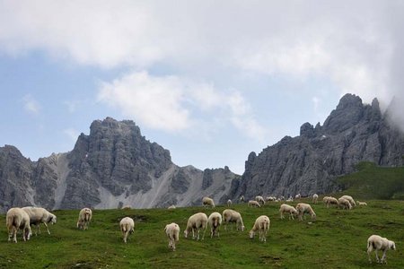 Hochtennspitze (2549 m) aus der Axamer Lizum