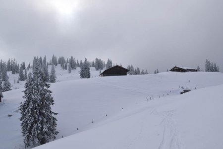 Labeggalm (1545 m) vom Erbhof Wimm