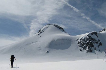 Zuckerhütl-Eistour (3505 m) vom Schaufeljoch