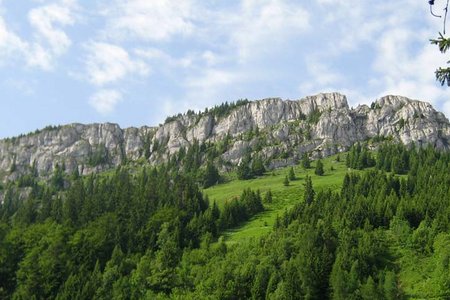 Brünnsteinhaus (1360 m) vom Waldparkplatz