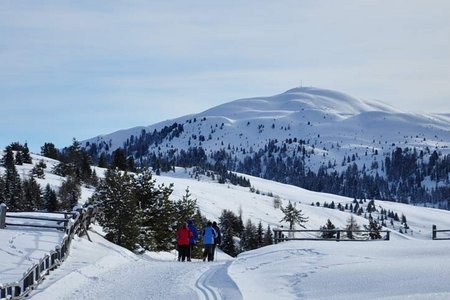 Lüsner Alm - Rodeneckeralm Rundwanderung