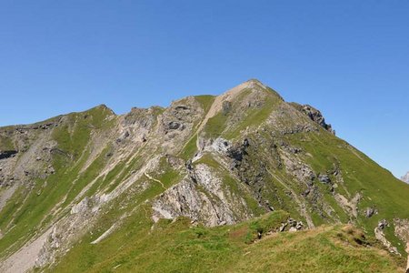 Wasenwand (2563 m) vom Padasterjochhaus