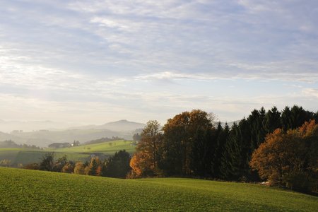 Wellness-Urlaub im Mühlviertel: Entspannung, Genuss und Gesundheit