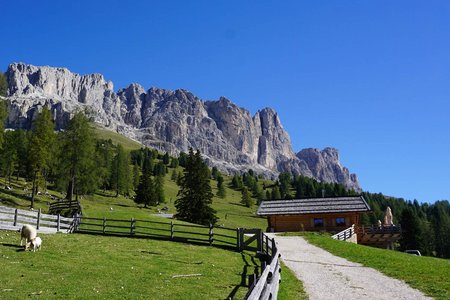 Rosengarten Rundfahrt von Welschnofen