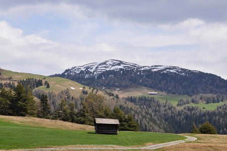 Kleine Lüsner Alm - Rodenecker Alm-Runde