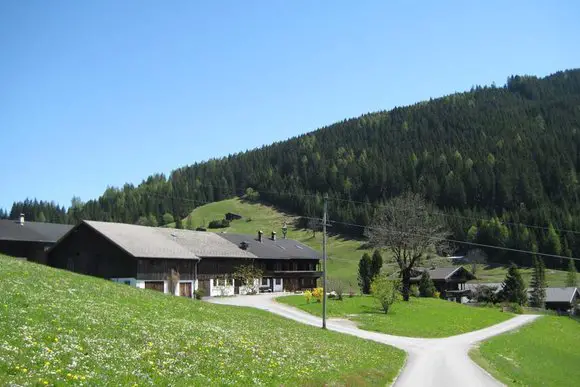 Entdecke Alpbachtal & Brandenbergtal auf dem Bike