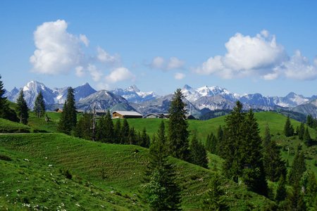 Rotwandalm und Bächental Rundtour von Fall