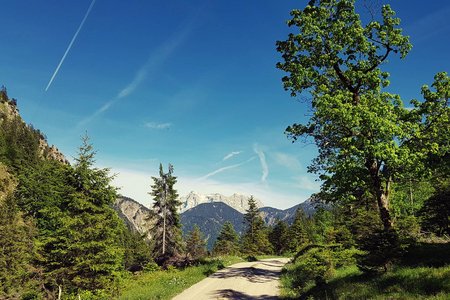 Melkalpe – Kuhklause – Plansee Runde von Breitenwang