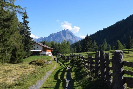 Köfels – Wurzbergalm Runde von Umhausen