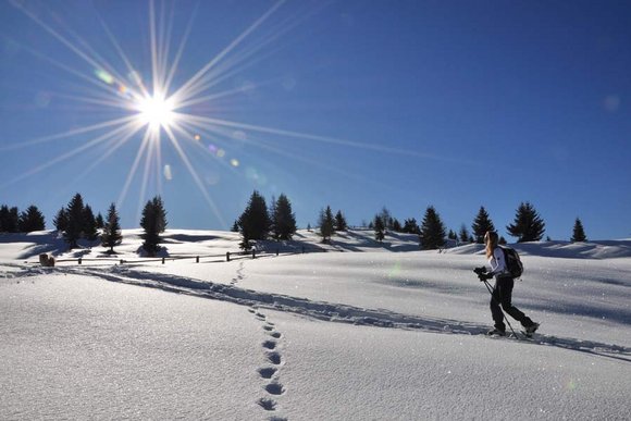 Schneeschuhtouren in den Ostalpen