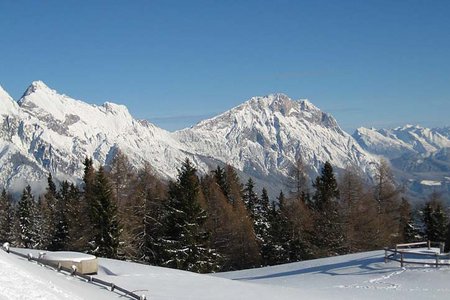 Simmeringalm - Naturrodelbahn