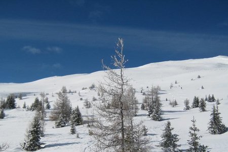 Leitner Berg (2309 m) vom Kreuzingerhof