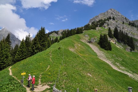 3-Jöcher-Rundwanderung am Reuttener Hahnenkamm