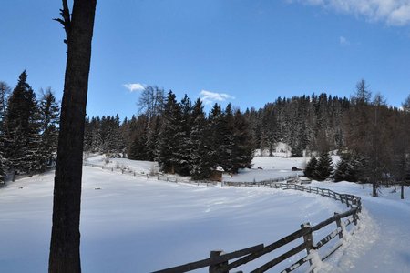 Schnadinger Weiher - Naturrodelbahn