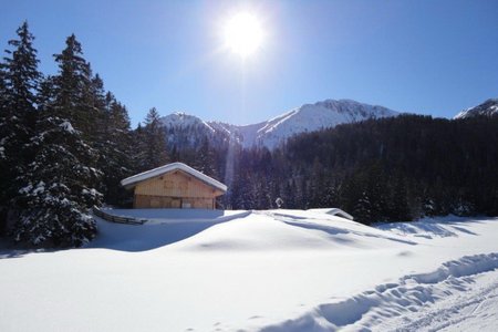 Ochsenalm Maria Waldrast Rodelbahn im Wipptal