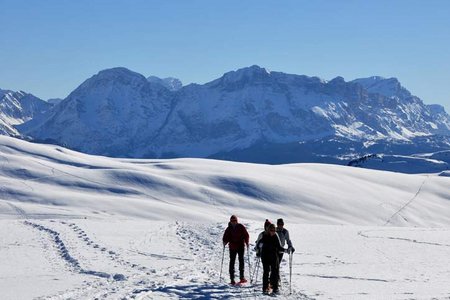 Kreuzwiesenalm - Campillberg - Astjoch Rundtour