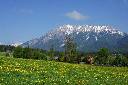 Freundsheim-Arzkasten Rundfahrt am Mieminger Plateau