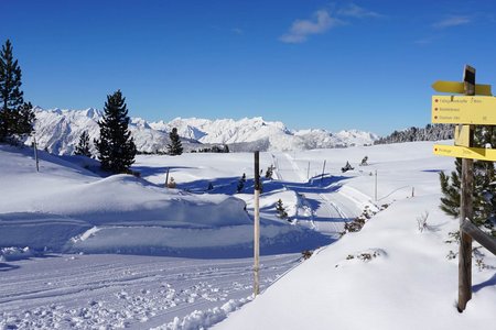 Am Kaiser-Franz-Josef-Weg auf die Feldringer Böden