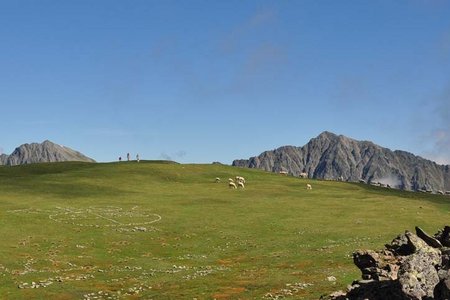 Freihut (2616 m) von Praxmar