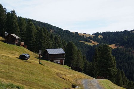 Zirbelkieferweg - Rundwanderung von der Halslhütte