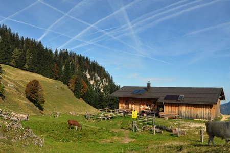 Stoibenmöseralm von Kössen im Kaiserwinkl