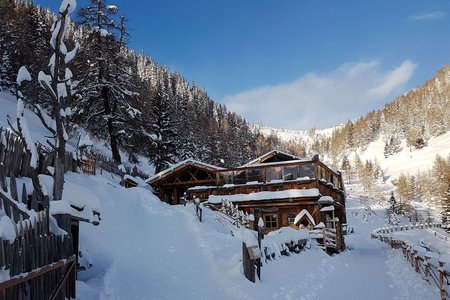 Moarhofalm - Winterwanderung vom Parkplatz Gelenke