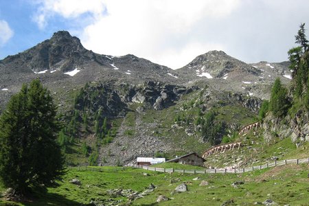 Kloster Alm von Karthaus (Waldparkplatz)