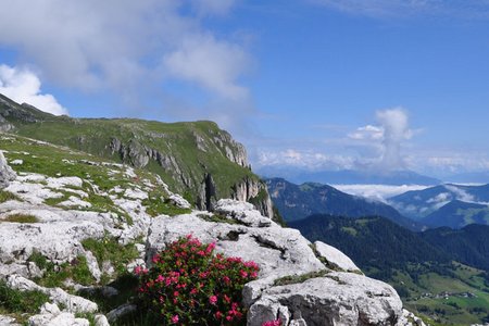 Col Plö Alt (2366 m) von der Gardenacia-Hütte