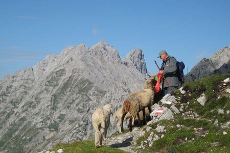 Verhalten in den Bergen