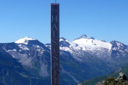 Halslspitze (2574 m) von der Weidener Hütte