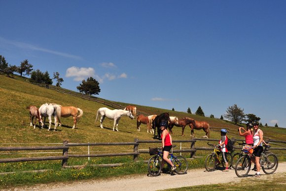 Entdecke Tirols Top Mountain- und E-Bike-Paradiese