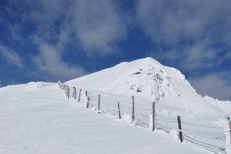 Niedererberg (2196 m) von Obernberg