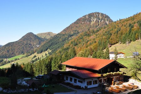 Ottenalm Alm von Kössen im Kaiserwinkl