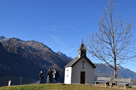 Busreisen in die Alpen werden in Zeiten des Klimawandels immer beliebter