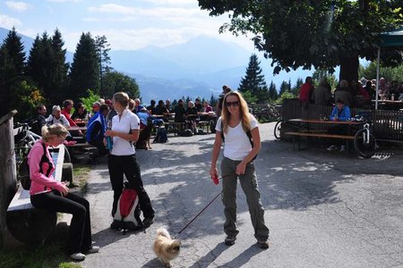 Arzler Alm von Arzl