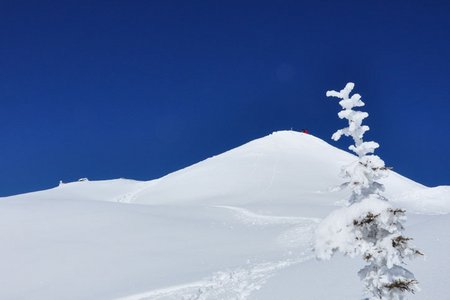 Kleiner Gamsstein (1924 m) von Hochfügen