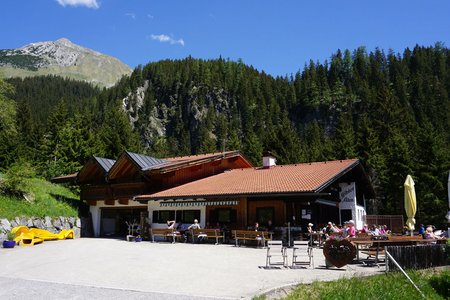 Gibler Alm von Elmen