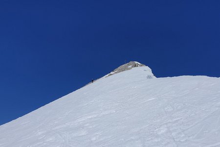 Pleisenspitze (2569m) von der Isar Lodge Wiesenhof