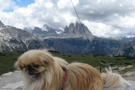 Strudelkopf (2308 m) von der Plätzwiesenhütte