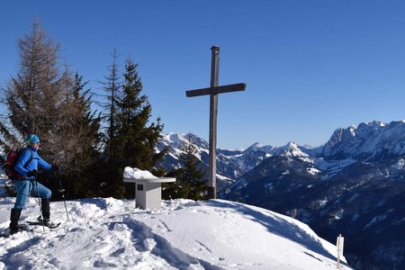 Pendling (1563 m) vom Gasthof Schneeberg