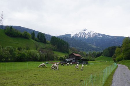 Westliche Mittelgebirgsrunde von Innsbruck-Freiburgerbrücke