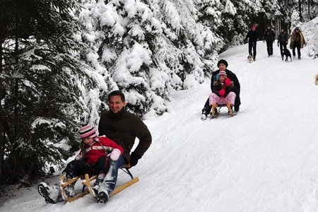 Krepperhütte / Großvolderberg  - Naturrodelbahn