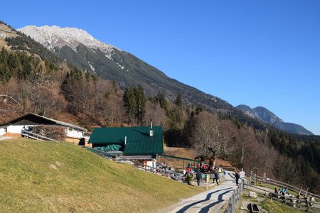 Umbrüggler Alm - Arzler Alm Rundwanderung