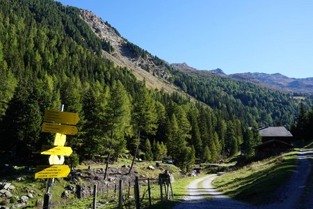 Rund um den Patscherkofel mit Teilstück Almenweg 1600