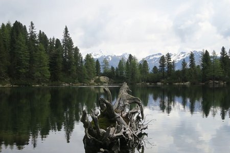 Puntleidersee von Grasstein