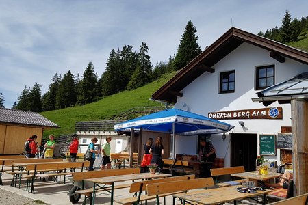 Dürrenberg Alm (1438 m) von Breitenwang