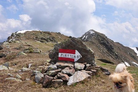 Sambock-Plattnerspitze Rundtour (2396/2439 m) von Platten