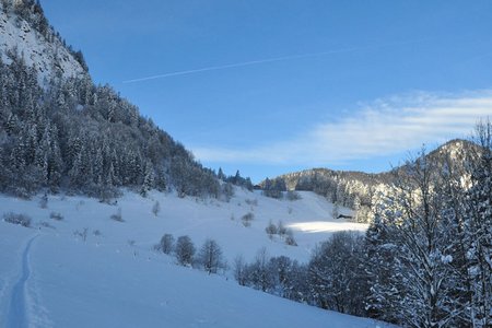 Ederalm und Ottenalm von Kössen